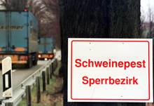 Hinweisschild mit der Aufschrift Schweinepest