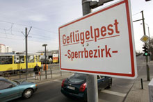 Warnschuld mit der Aufschrift Geflügelpest-Sperrbezirk
